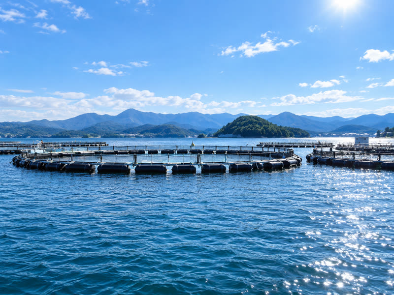 山並みを背にした海に浮かぶ養殖いけす